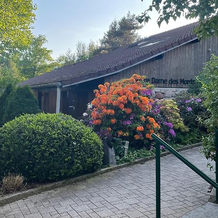 Hotel Notre Dame Des Monts Ban-sur-Meurthe-Clefcy Exteriér fotografie