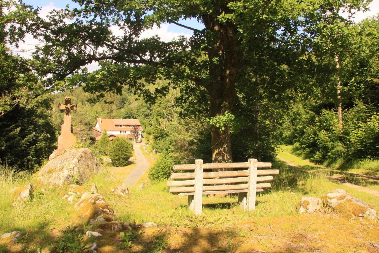 Hotel Notre Dame Des Monts Ban-sur-Meurthe-Clefcy Exteriér fotografie