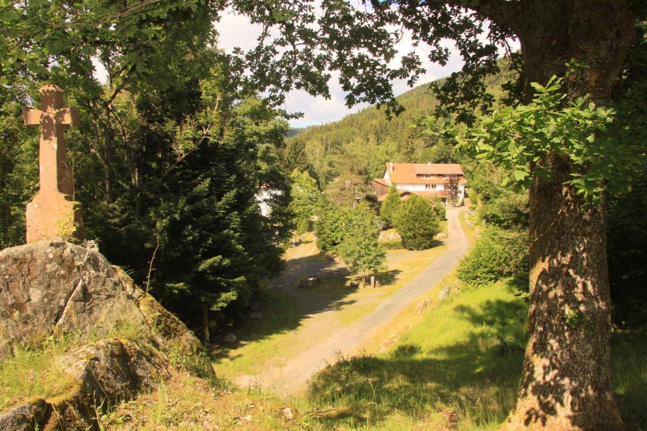 Hotel Notre Dame Des Monts Ban-sur-Meurthe-Clefcy Exteriér fotografie