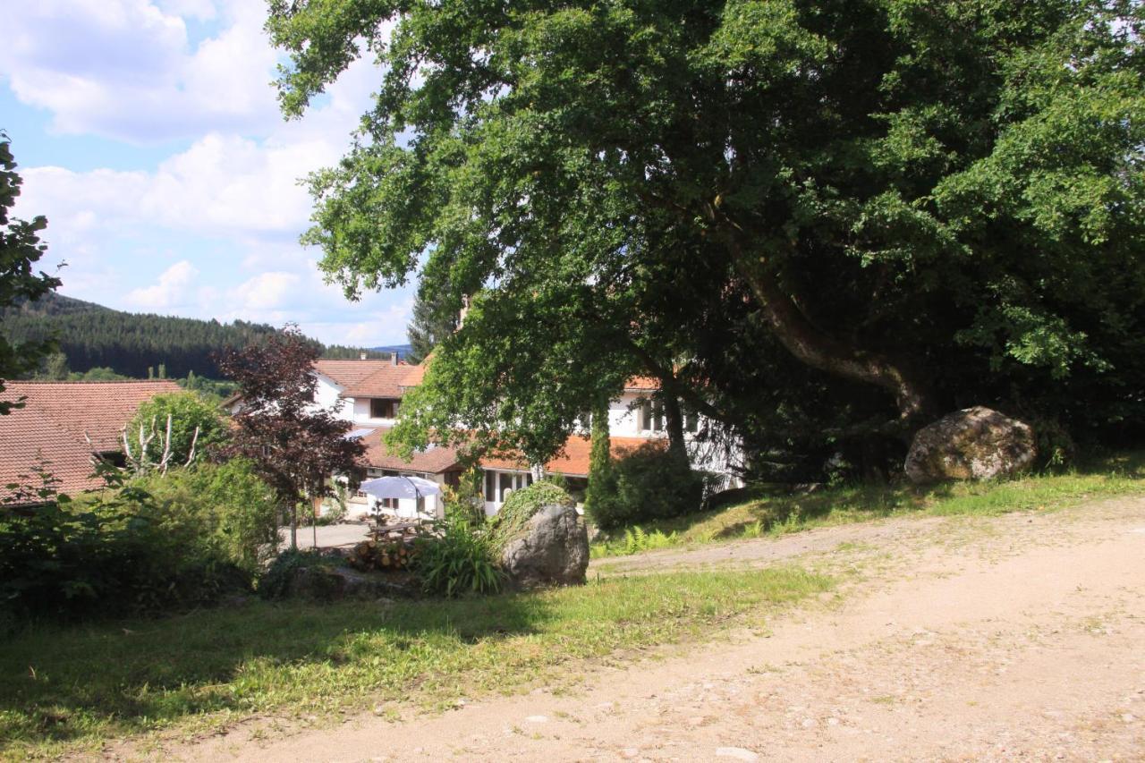 Hotel Notre Dame Des Monts Ban-sur-Meurthe-Clefcy Exteriér fotografie