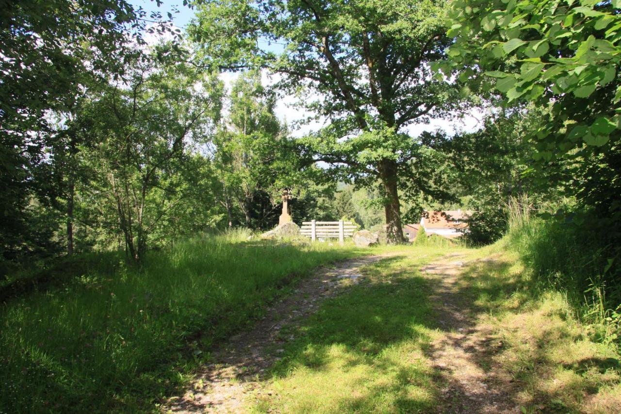 Hotel Notre Dame Des Monts Ban-sur-Meurthe-Clefcy Exteriér fotografie