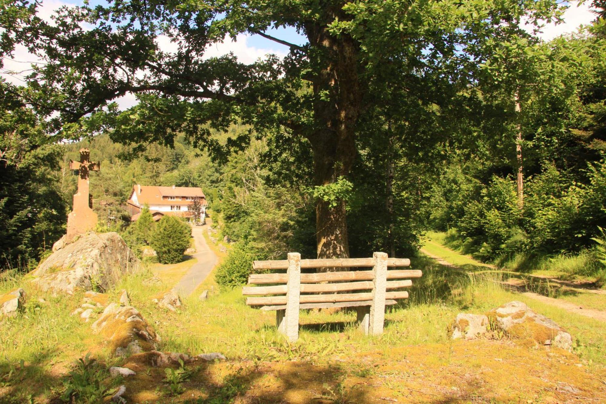 Hotel Notre Dame Des Monts Ban-sur-Meurthe-Clefcy Exteriér fotografie